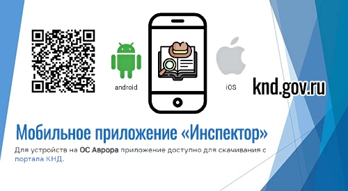 Мобильный инспектор